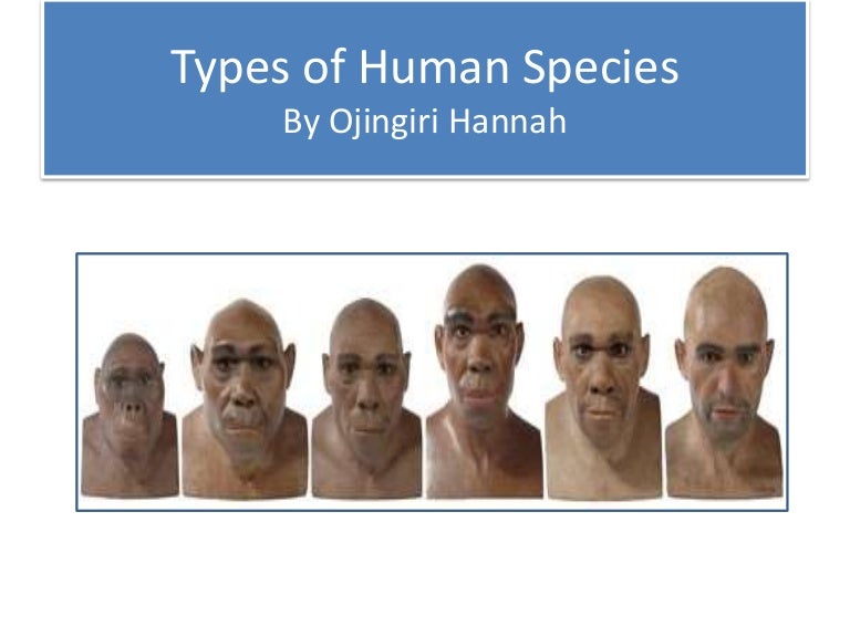 Types of human species