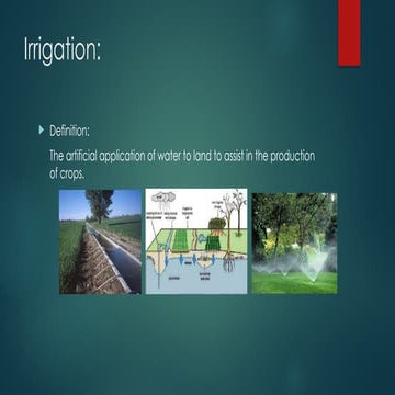 check basin , furrow and border strip method | PDF