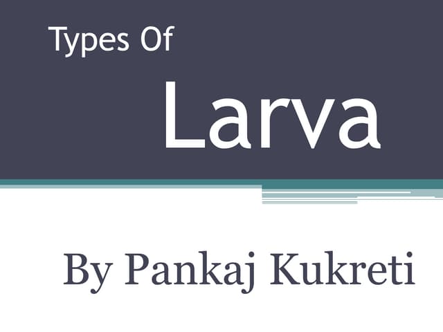 Types of larva