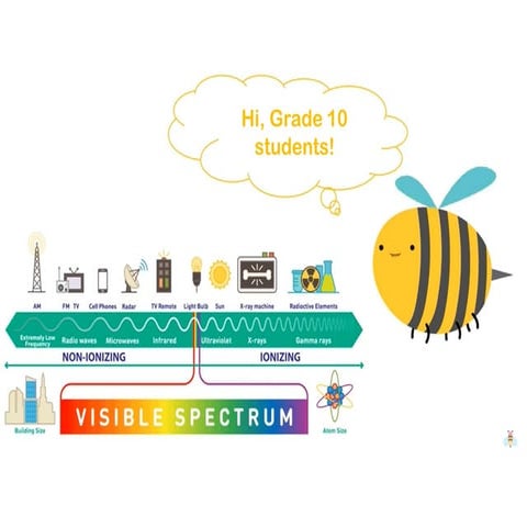 Types of Mirrors.pptxxxxxxxxxxxxxxxxxxxxxxxxxxx