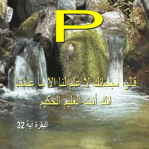 Types of ms fibers & types of exercise   dr gad