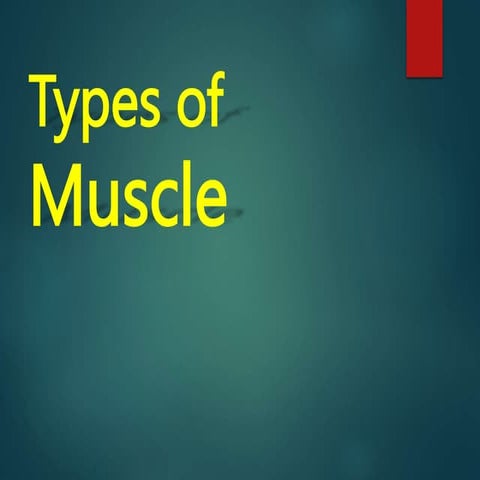Types of muscle bioengeenring.pptx