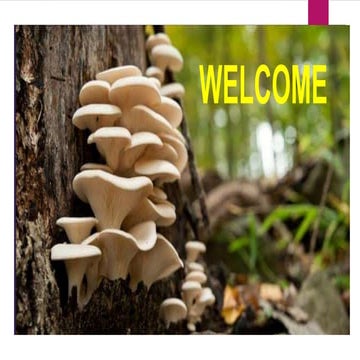 Types of Mushrooms and mushroom poisoning.pptx