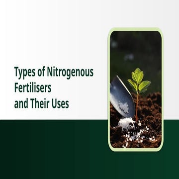 Role of Nitrogen for Plant Growth and Development: A Review | PDF