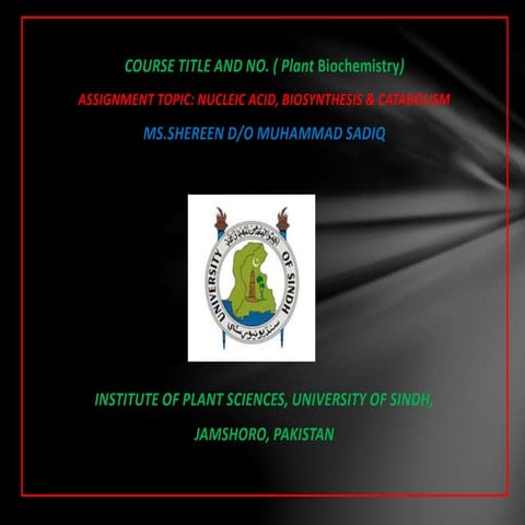 Types of nucliec acids, biosynthesis and catabolism