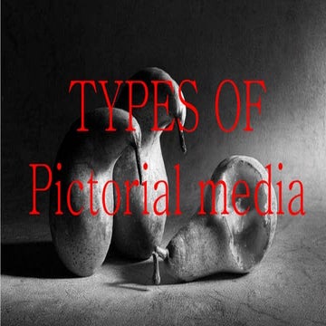 Types of pictorial media