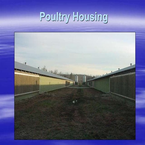Types of Poultry Housing for poultry production.ppt