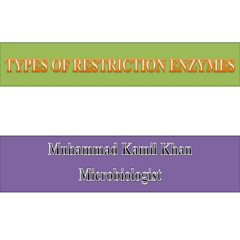 Types of restriction enzymes