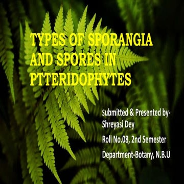 Types of sporangia and spores submitted by shreyasi dey.roll no 08, 2nd semes...