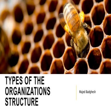 Types of the organizations structure