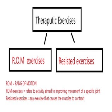 Types of therapeutic exercises