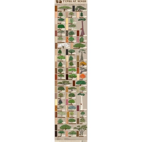 52 Types of Wood and the Trees They Come From | PDF