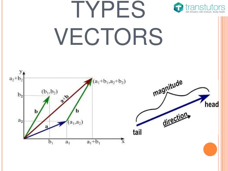 Types Vectors | Civil Engineering