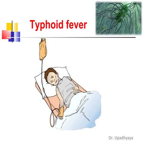 Typhoid