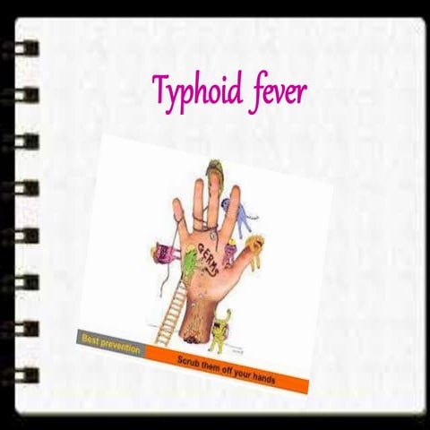 Typhoid