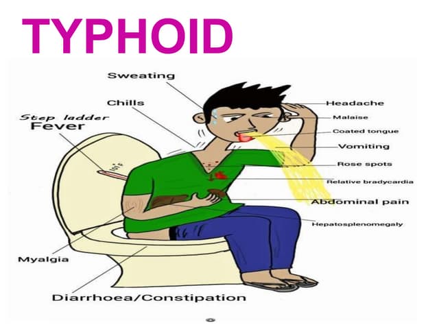 Pathophysiology of typhoid fever and the works.pptx