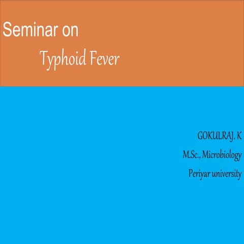 13 TEMPLATE SAMPLE OF TYPHOID FEVER.pptx
