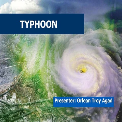 Typhoon Final Presentation.pptx