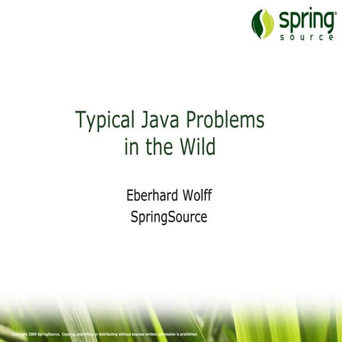 10 Typical Java Problems in the Wild