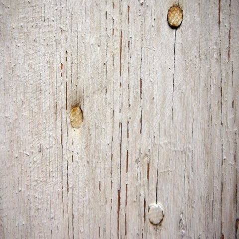 Typography: Past & Future II