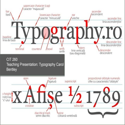 Typography pp