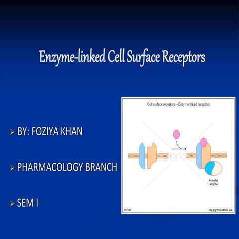 Enzyme linked cell surface receptors