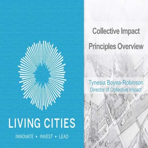 Collective Impact Principles Overview