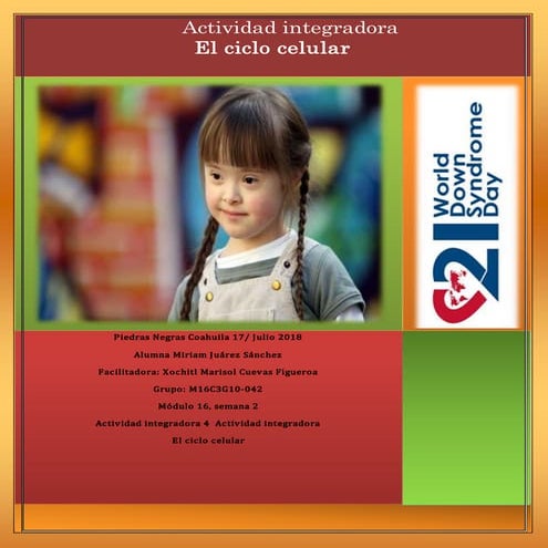 Juarez sanchez miriam_m16s2_elciclocelular