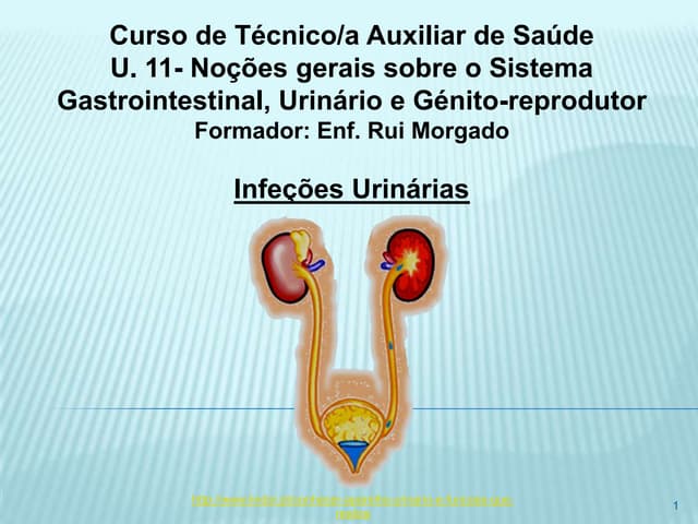 U. 11 - Infecções Urinárias - Power...