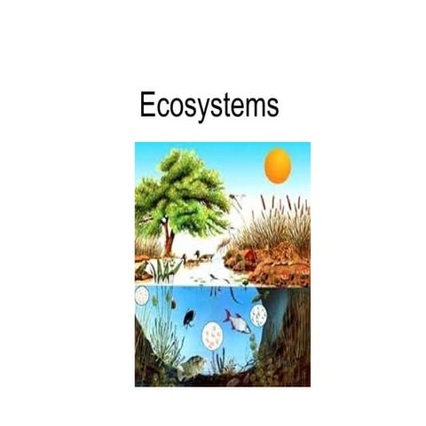 Ecosystems | PPTX