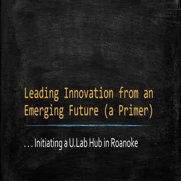 Initiating a U.Lab Hub in Roanoke - Leading Innovation from an Emerging Future