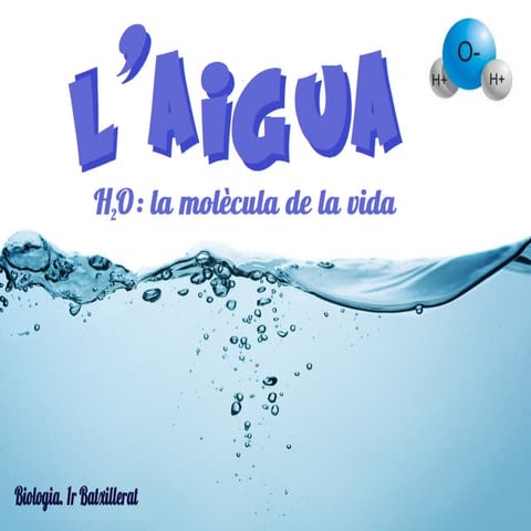 UD2 L'AIGUA, LA MOLÈCULA DE LA VIDA