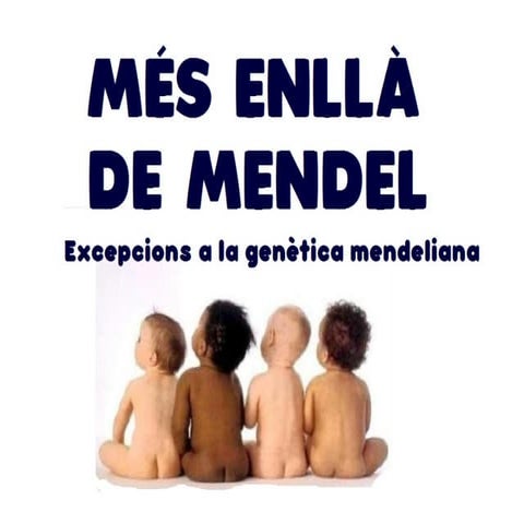 MÉS ENLLÀ DE MENDEL (Biologia. 1r Batx)