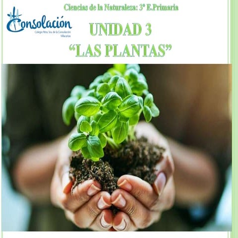 U.3.LAS PLANTAS
