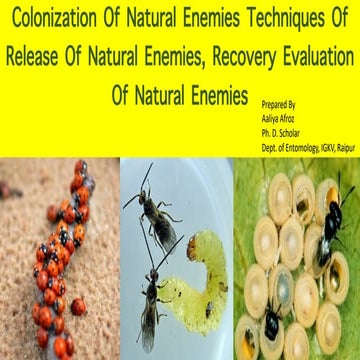 Colonization of Natural Enemies, Techniques of Release of Natural Enemies, Re...
