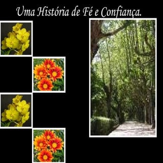 U M A  H I S TÓ R I A  D E  FÉ  E  ...