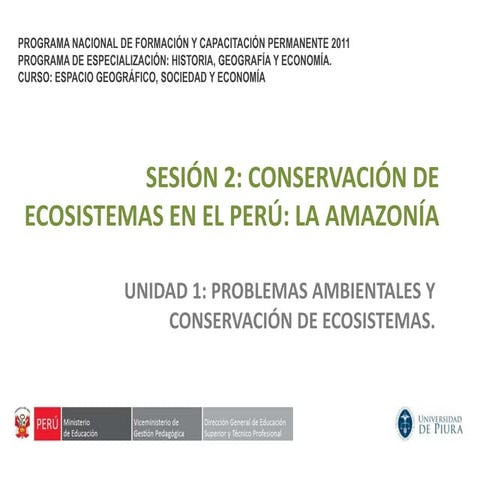 Conservación de Ecosistemas en el Perú: La Amazonia | PPTX
