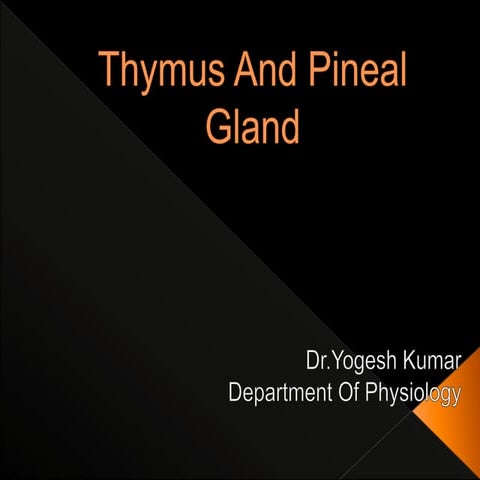Thymus and pineal gland