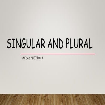U2 l4 nouns singular to plural and vice versa