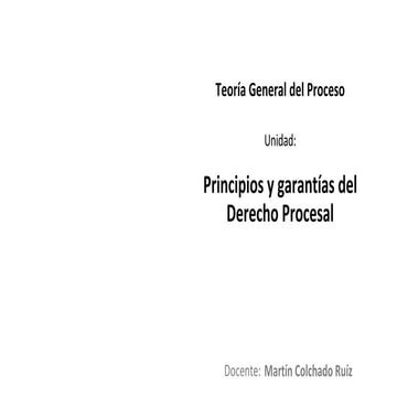 U2 s3 principios y garantías del derecho procesal