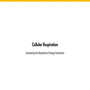 Cellular Respiration High School Biology Level