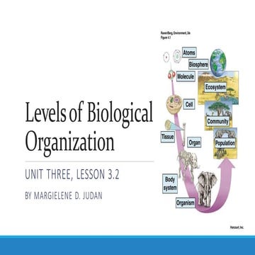 u3l3-150801160555-lva1-app6892.pptx