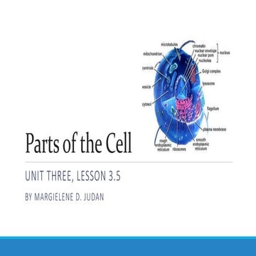 Unit 3, Lesson 3.5 - Parts of the Cell