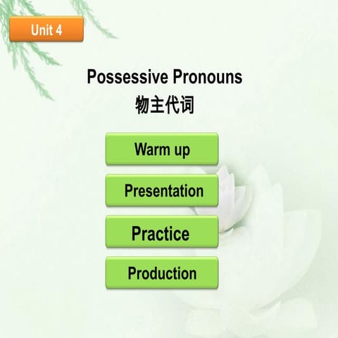 小学语法训练-U4物主代词-小学语法训练-U4物主代词-20260204.pptx