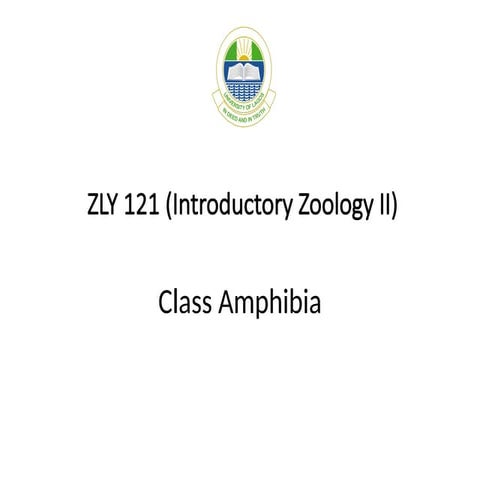 Class Amphibians in Zoology Year One.pptx