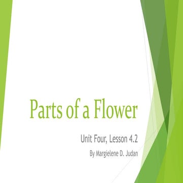 Unit 4, Lesson 4.2 - Parts of a Flower