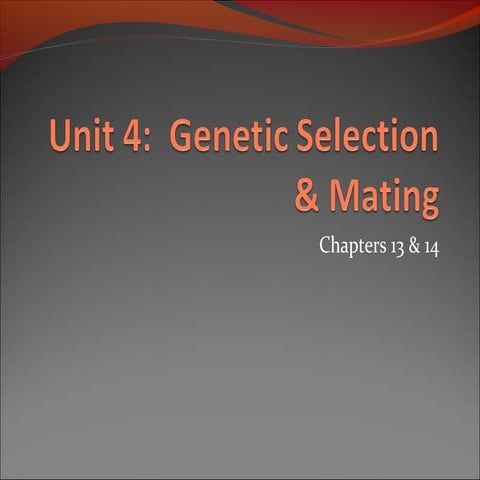 U 4 selection &amp; mating 08