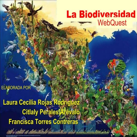 Biodiversidad
