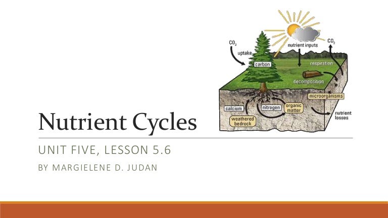 Unit 5, Lesson 5.6- Nutrient Cycles