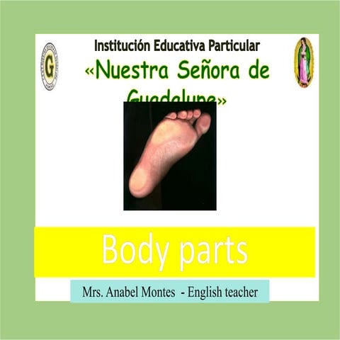 U7  body parts-2 do-1a